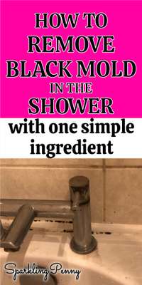 How To Get Rid Of Black Mold In The Shower (with one simple ingredient)